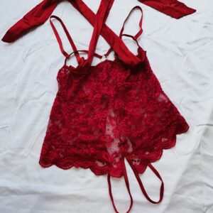 Open crotch and boob bodysuit